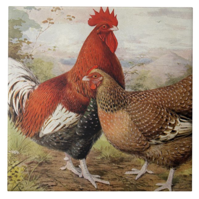 Niedliches Dekor von Hüttenhütten Fliese (Vorderseite)