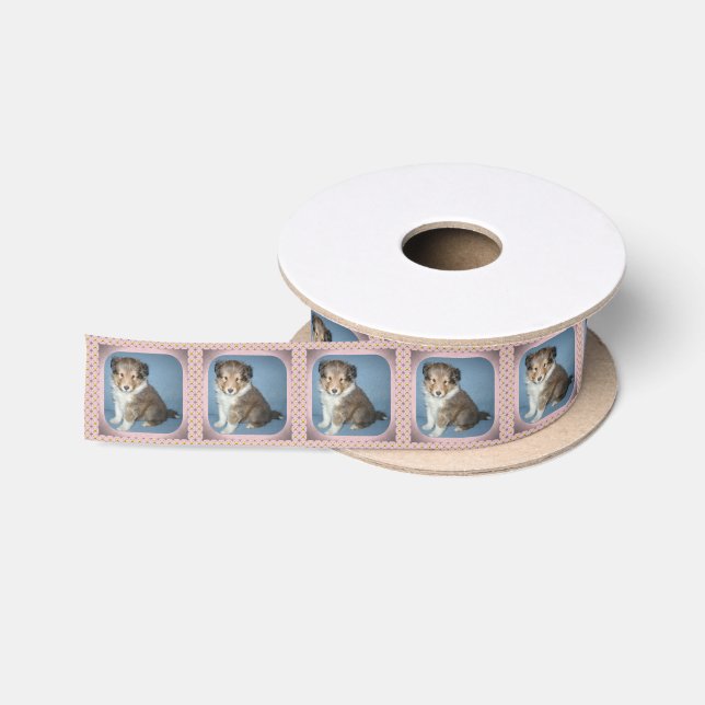 Niedliches die satinband (Spule)
