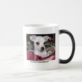 Niedliches Dog-Mug. Verwandlungstasse