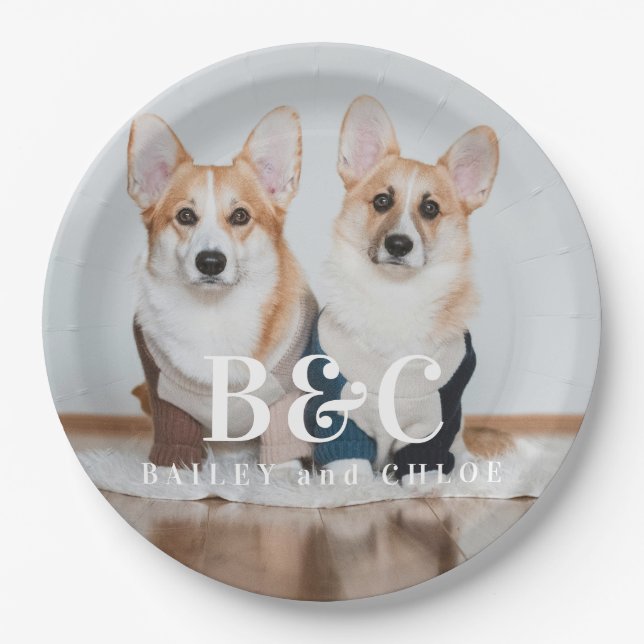 Niedliches Dog Pet-Foto mit Name Pappteller (Vorderseite)