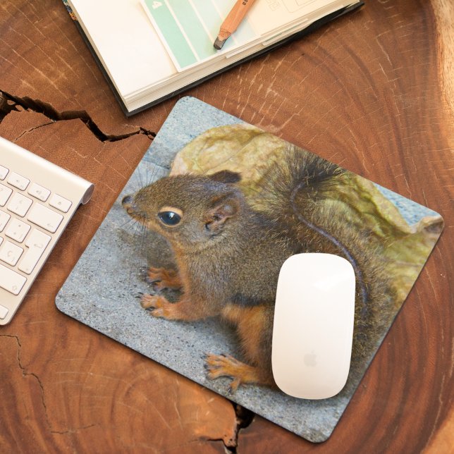 Niedliches Douglas Squirrel Nature Foto Mousepad (In Situ)