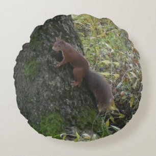 Niedliches Eichhörnchen auf Baumstamm Runde Kissen