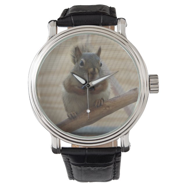 Niedliches Eichhörnchen auf dem Zweig Armbanduhr (Vorderseite)