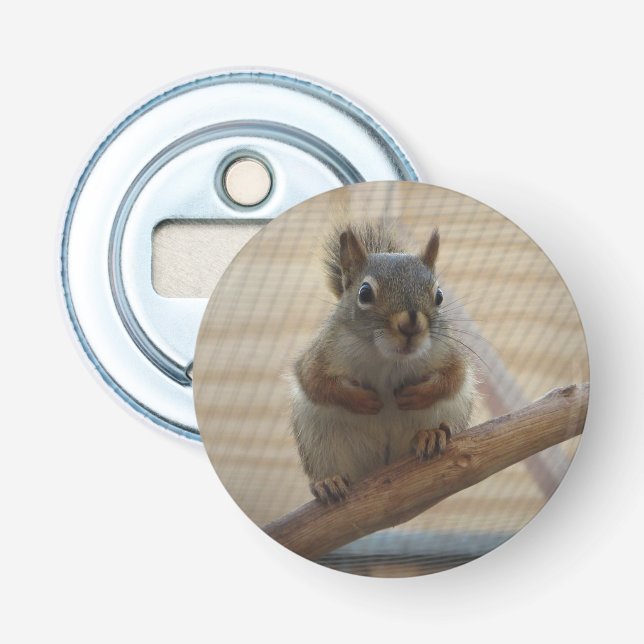 Niedliches Eichhörnchen auf dem Zweig Flaschenöffner (Vorderseite)
