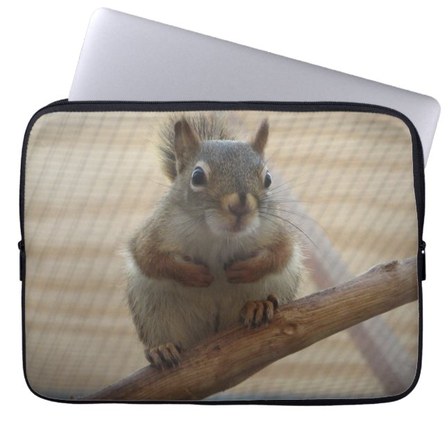 Niedliches Eichhörnchen auf dem Zweig Laptopschutzhülle (Vorderseite)