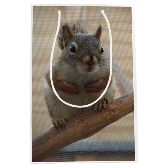 Niedliches Eichhörnchen auf dem Zweig Mittlere Geschenktüte (Vorderseite)