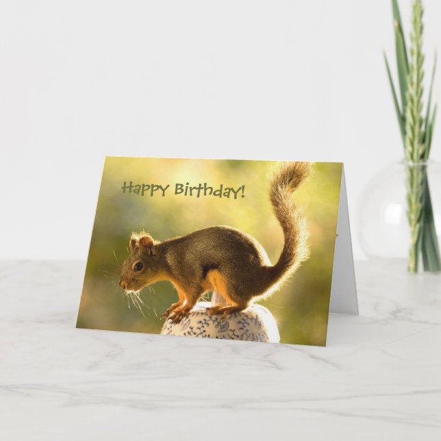 Niedliches Eichhörnchen auf einem Keksjar Karte (Vorderseite)