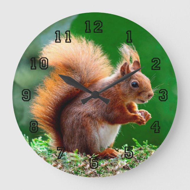 Niedliches Eichhörnchen auf Gras-Uhr Große Wanduhr (Vorderseite)