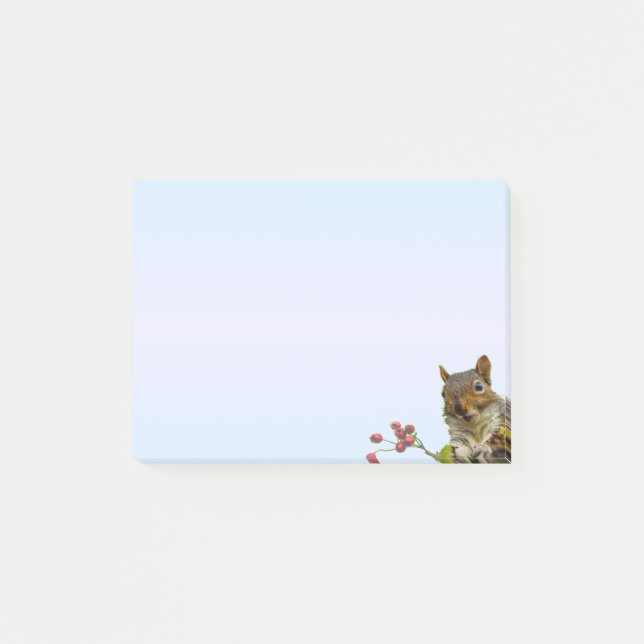 Niedliches Eichhörnchen auf Light Blue Gradient Post-it Klebezettel (Vorderseite)