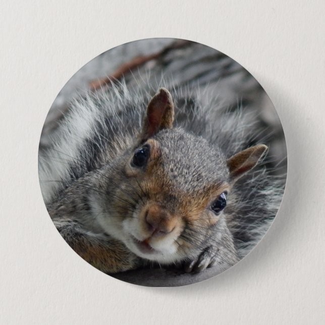 Niedliches Eichhörnchen Button (Vorderseite)