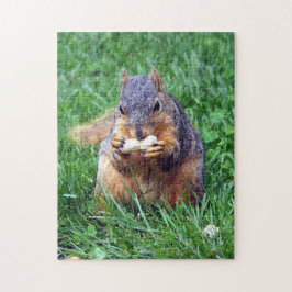 Niedliches Eichhörnchen-Erdnuss-Foto