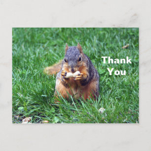 Niedliches Eichhörnchen Erdnuss Foto Danke Postkarte