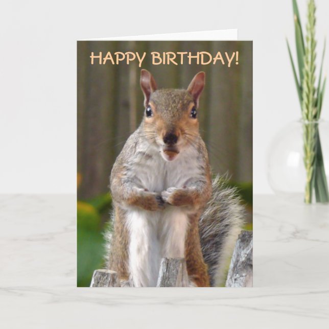 Niedliches Eichhörnchen Happy Birthday Karte (Vorderseite)