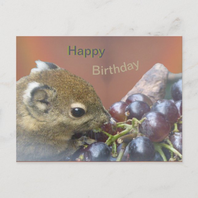 Niedliches Eichhörnchen Happy Birthday Postcard Postkarte (Vorderseite)