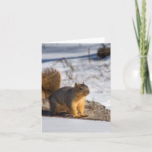 Niedliches Eichhörnchen im Schnee Feiertagskarte