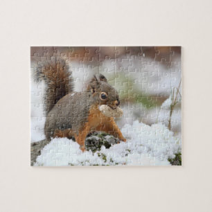 Niedliches Eichhörnchen im Schnee mit Erdnuss