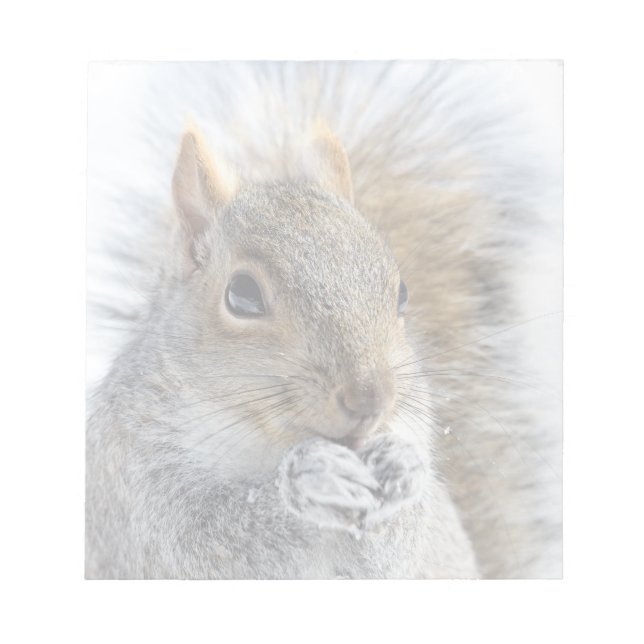 Niedliches Eichhörnchen im Winter Notizblock (Vorderseite)