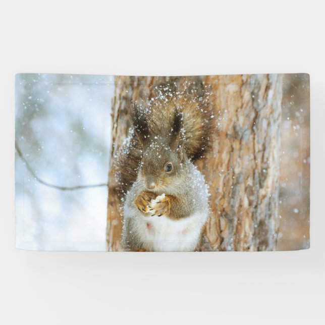 Niedliches Eichhörnchen in der Winterlandschaft Banner (Horizontal)