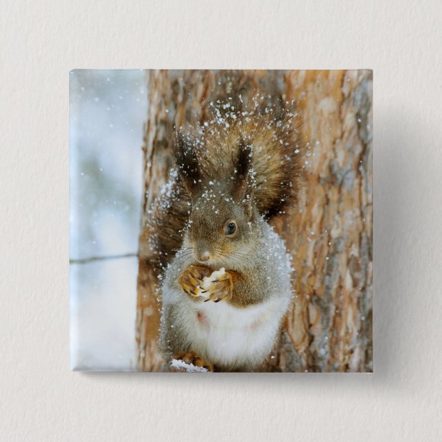 Niedliches Eichhörnchen in der Winterlandschaft Button (Vorderseite)
