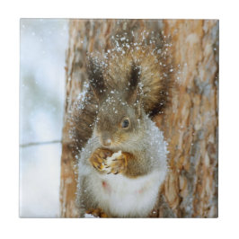 Niedliches Eichhörnchen in der Winterlandschaft Fliese