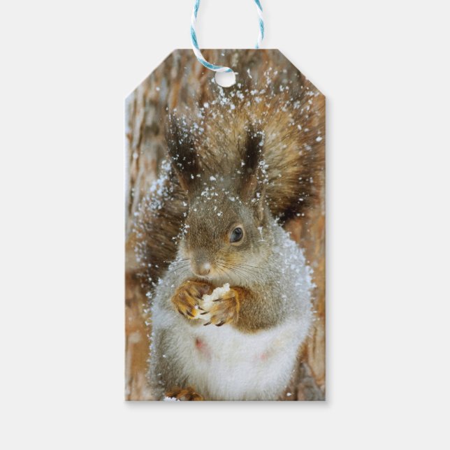 Niedliches Eichhörnchen in der Winterlandschaft Geschenkanhänger (Vorderseite)
