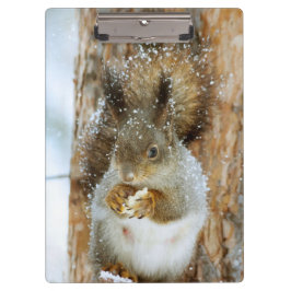 Niedliches Eichhörnchen in der Winterlandschaft Klemmbrett