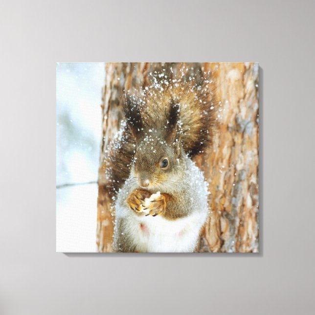 Niedliches Eichhörnchen in der Winterlandschaft Leinwanddruck (Vorderseite)