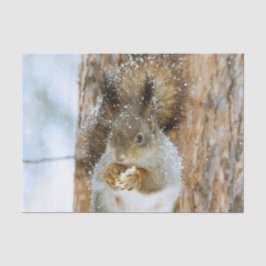Niedliches Eichhörnchen in der Winterlandschaft Seidenpapier