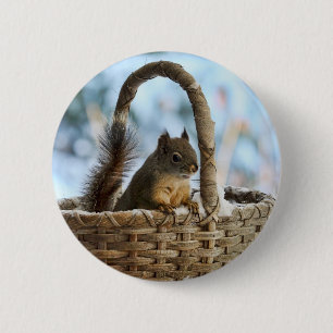 Niedliches Eichhörnchen in einem Korb im Winter Button