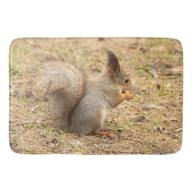 Niedliches Eichhörnchen isst ein Nussbaum-Foto Badematte (Vorderseite)