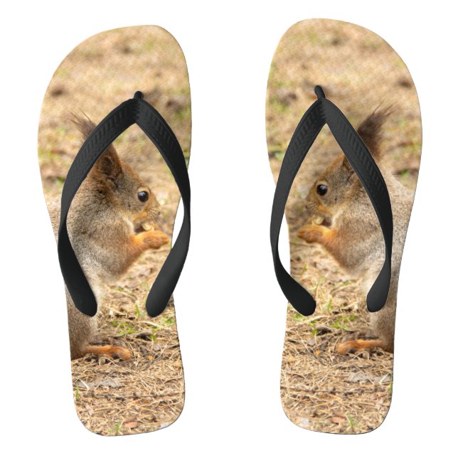 Niedliches Eichhörnchen isst ein Nussbaum-Foto Flip Flops (Fußbett)