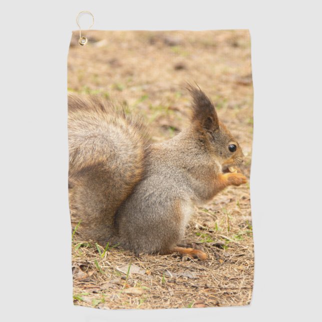 Niedliches Eichhörnchen isst ein Nussbaum-Foto Golfhandtuch (Vorderseite)