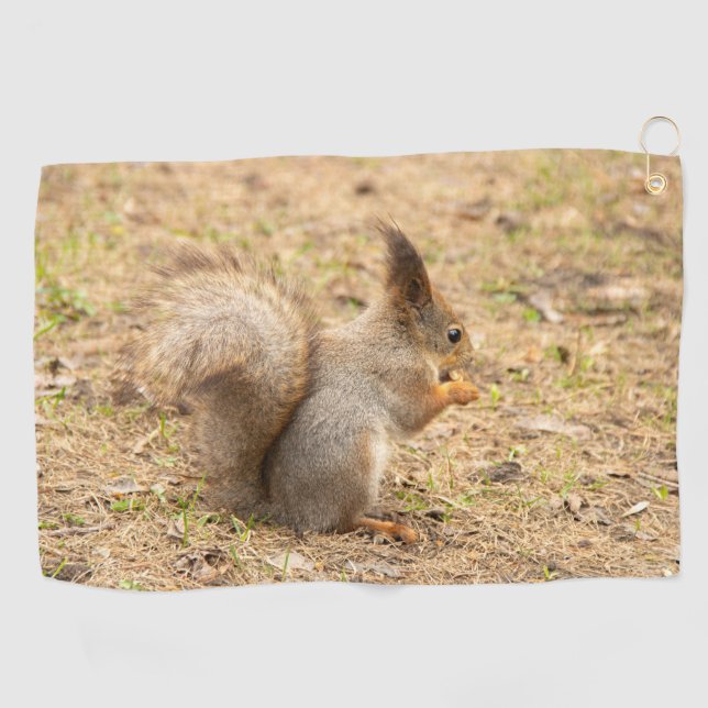 Niedliches Eichhörnchen isst ein Nussbaum-Foto Golfhandtuch (Horizontal)