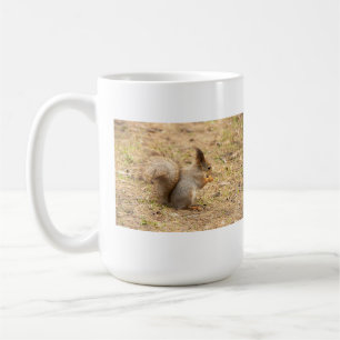 Niedliches Eichhörnchen isst ein Nussbaum-Foto Kaffeetasse