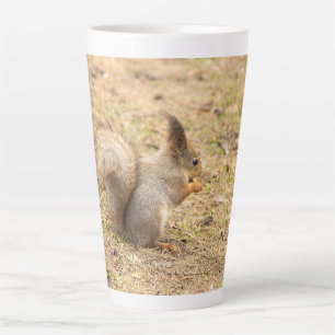 Niedliches Eichhörnchen isst ein Nussbaum-Foto Milchtasse