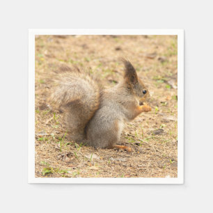 Niedliches Eichhörnchen isst ein Nussbaum-Foto Serviette