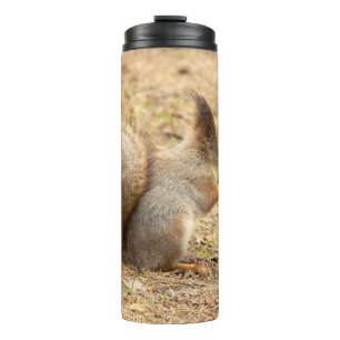 Niedliches Eichhörnchen isst ein Nussbaum-Foto Thermosbecher