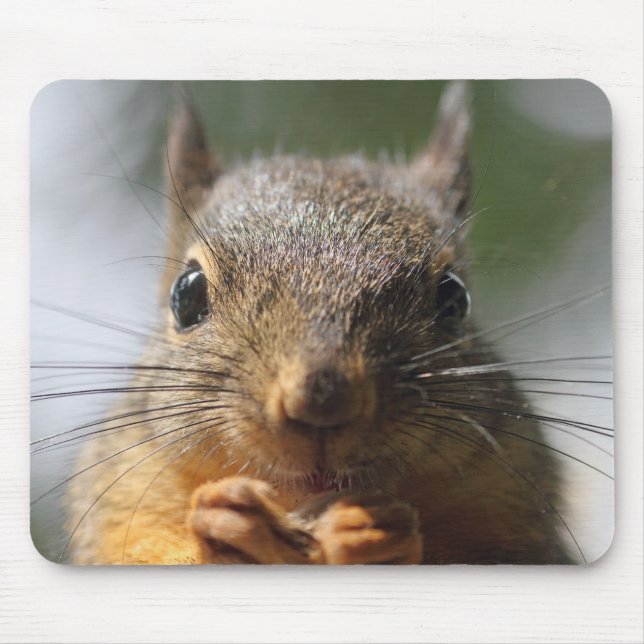 Niedliches Eichhörnchen-lächelndes Foto Mousepad (Vorne)