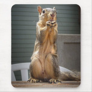 Niedliches Eichhörnchen mit Nut 3 Mousepad