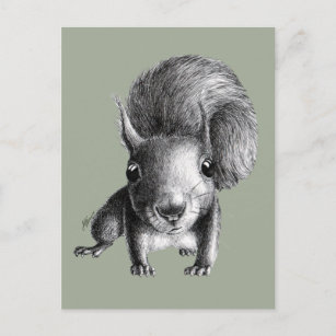 Niedliches Eichhörnchen Postkarte