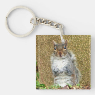 Niedliches Eichhörnchen Schlüsselanhänger