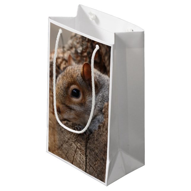Niedliches Eichhörnchen sieht aus ihrem Loch Kleine Geschenktüte (Vorderseite Schrägansicht)
