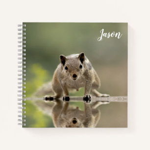 Niedliches Eichhörnchen Tier Notizbuch