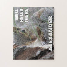 Niedliches Eichhörnchen und Erdnussspiel Nacht Per