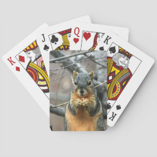 Niedliches Eichhörnchen und seine Nuss Spielkarten