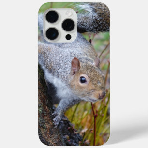 Niedliches Eichhörnchengehäuse Case-Mate iPhone Hülle