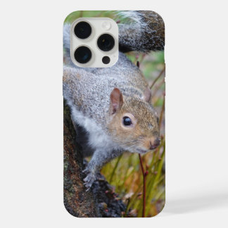 Niedliches Eichhörnchengehäuse iPhone 15 Pro Max Hülle