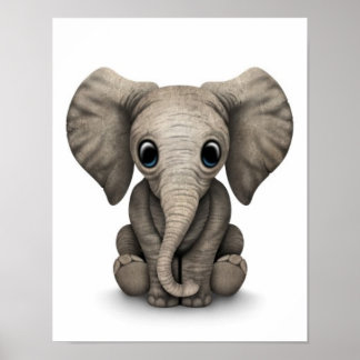 Niedliches Elefantenkalb im Baby, weiß Poster