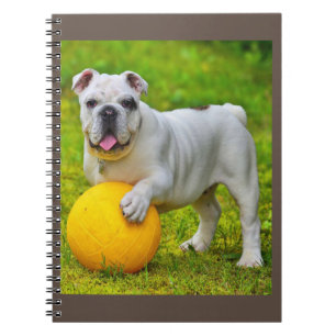 Niedliches englisches Bulldog Basketball Bulldog-L Notizblock