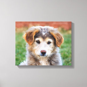 Niedliches entzückendes Welpen-HundeFoto Leinwanddruck